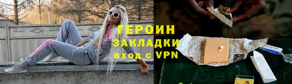 прущие грибы Абаза