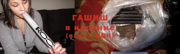 прущие грибы Абаза