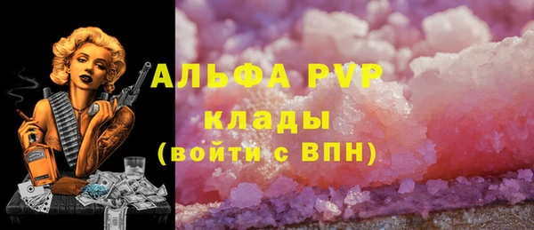 прущие грибы Абаза