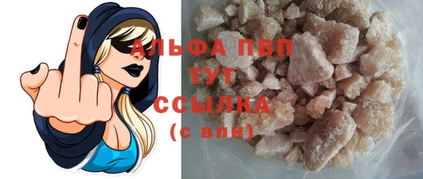 прущие грибы Абаза