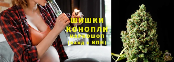 прущие грибы Абаза