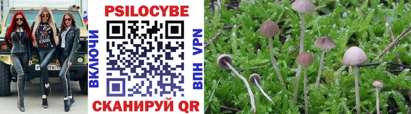 Галлюциногенные грибы Cubensis Мурино